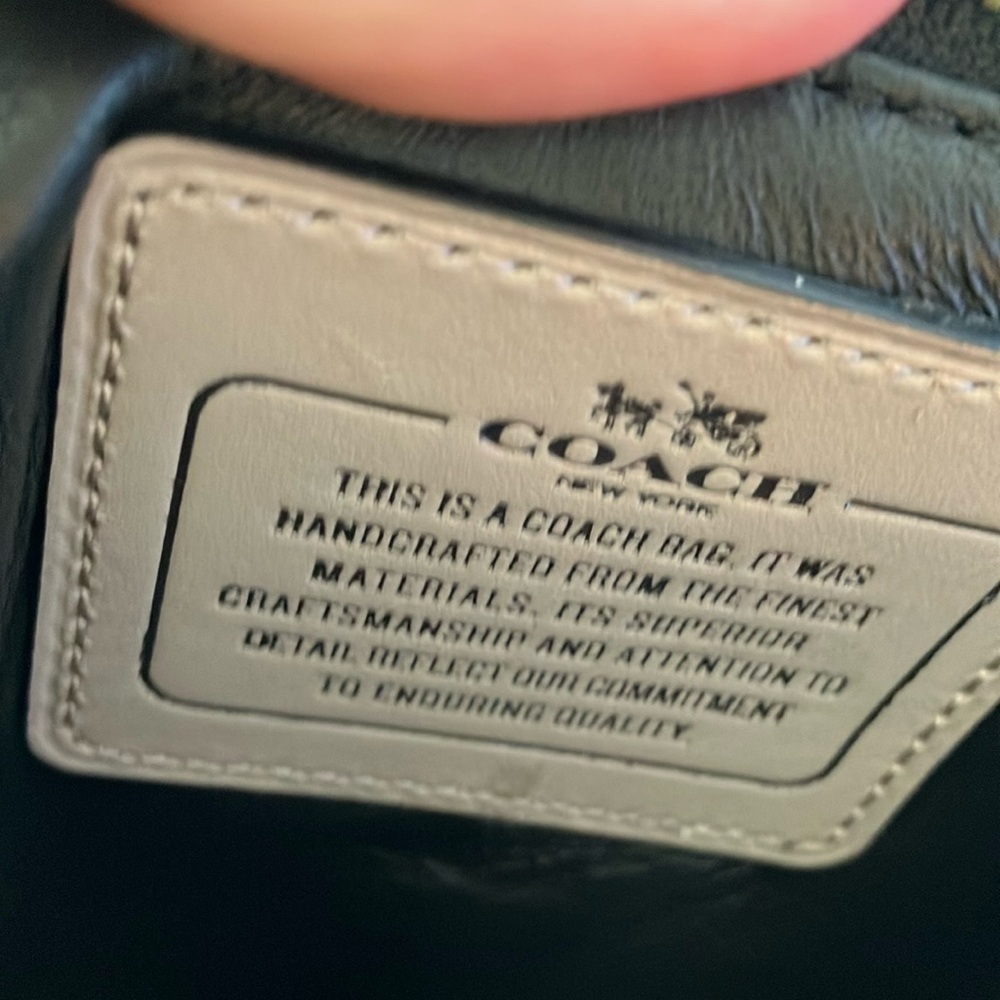 Coach: Grey Birch Willow Flower Drifter Handbag- Floral- Tea Rose Appliqué - Picture 7 of 16